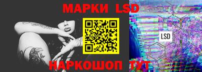 стаф Моздок