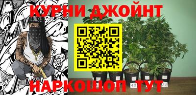 стаф Моздок
