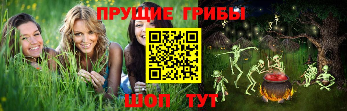 Псилоцибиновые грибы MAGIC MUSHROOMS Бугуруслан